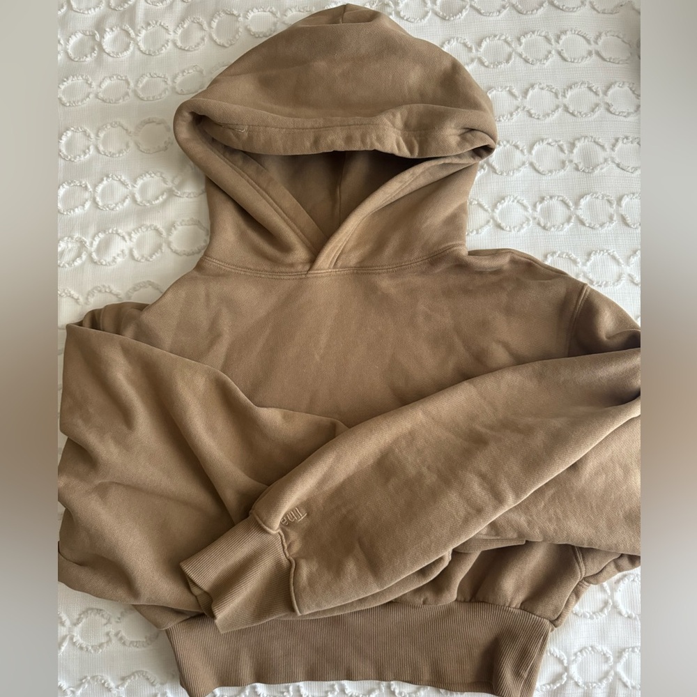Aritzia Tna Cropped Hoodie